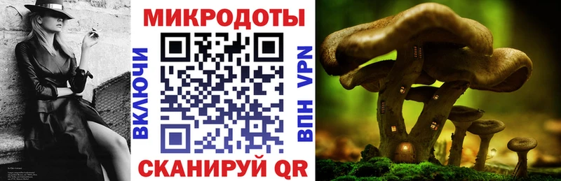 Псилоцибиновые грибы мицелий  Мураши 