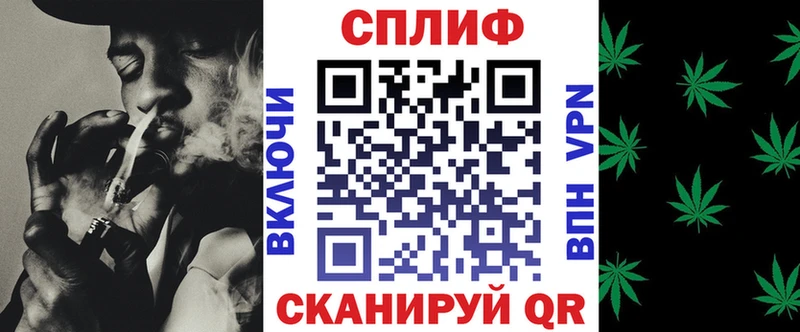 кракен зеркало  где можно купить наркотик  Мураши  Каннабис планчик 